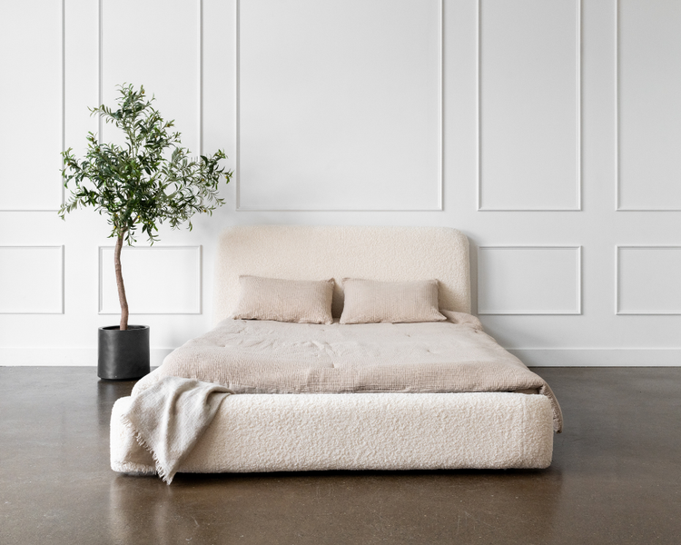 Are Bed Bugs Visible to the Naked Eye? An Ontario Pest Expert Answers