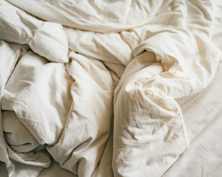 Early Signs of Bed Bugs: An Ontario Homeowner's Guide (2026)