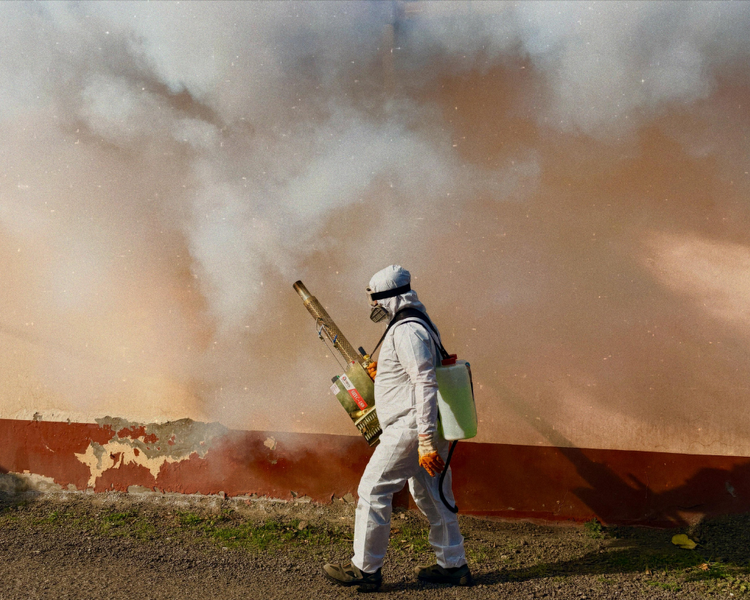 Pest Control Services in Ontario: A Complete Guide to Protecting Your Home and Business