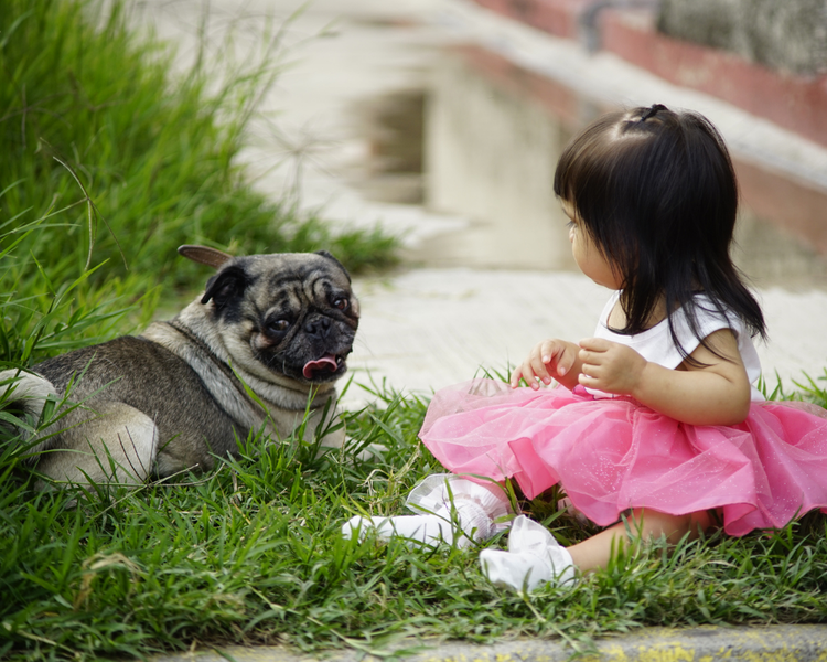 Is Pest Control Safe for Pets and Children? An Ontario Expert's Answer (2026)