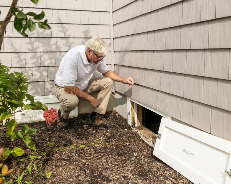 Do You Need a Pest Inspection When Buying or Selling a Home in Ontario? (2026)