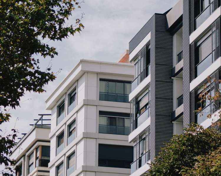 Who Pays for Pest Control: Landlord or Tenant? (Ontario 2026)