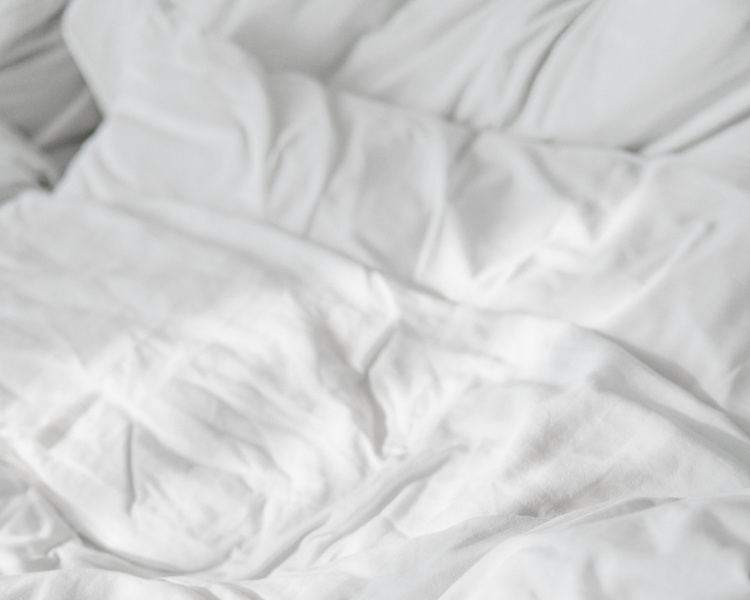 Moving Into a Toronto Apartment This September? How to Check for Bed Bugs Before You Unpack