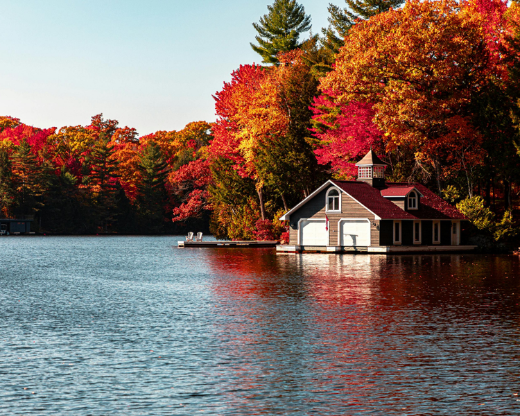 Closing the Cottage? The Pest-Proofing Checklist for Muskoka, Orillia & Simcoe County 