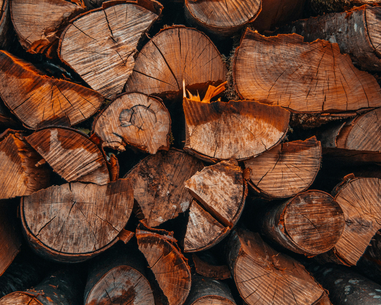 Firewood Pests: What You're Carrying Into Your Ontario Home Every Fall