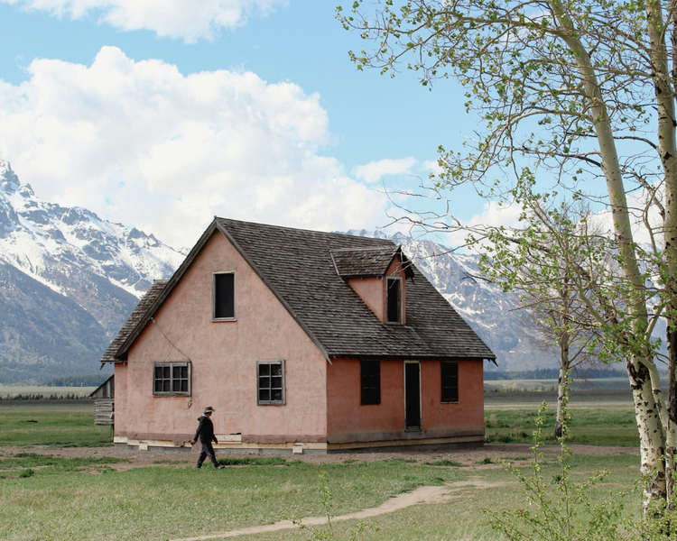 Keeping Mice Out of Your Cottage This Winter: The Closing-Season Playbook