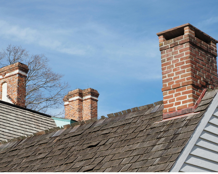 Scratching or Flapping in Your Chimney? How to Tell What's In There (Ontario)