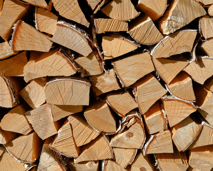 Bugs in Firewood: How to Keep Them Out of Your House This Fall