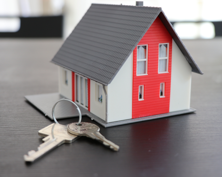 Does Home Insurance Cover Pest Damage in Ontario? What Is and Isn't Covered