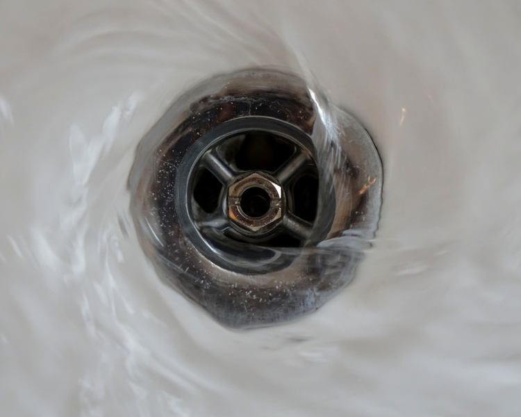 Drain Flies: Why They're in Your Bathroom and How to Actually Get Rid of Them