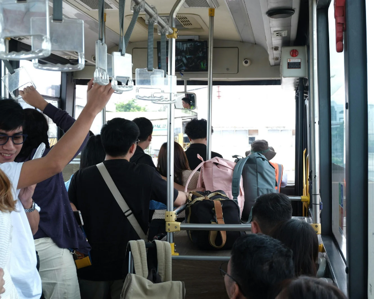 Bed Bugs on Public Transit: What GTA Riders Need to Know (TTC, GO, MiWay)