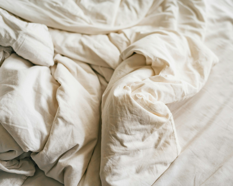 Do Bed Bugs Go Away on Their Own? (Why Waiting Makes It Worse)