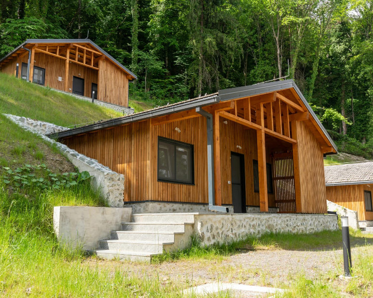 Pest Control for Vacation Rentals: An Ontario Host's Guide (Cottages, Airbnbs, Short-Term Rentals)