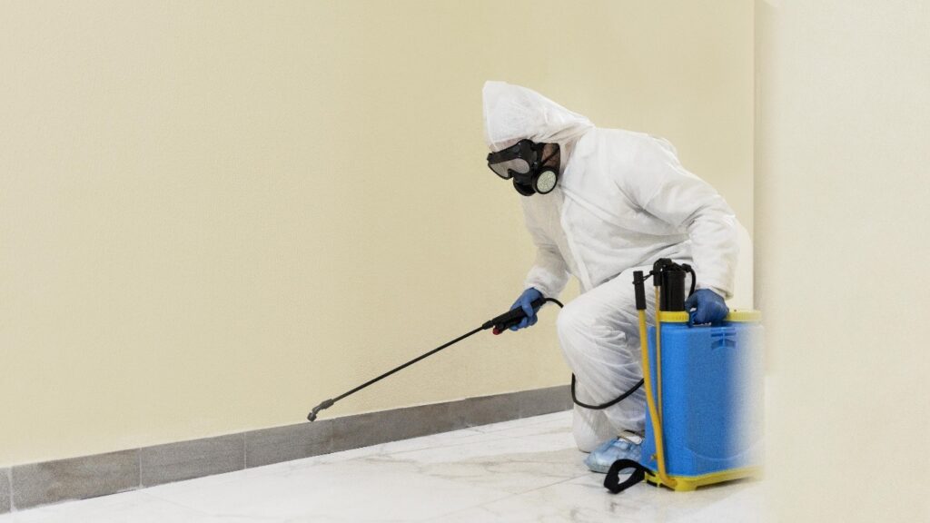 Exterminator Services for Hotels & Hospitality