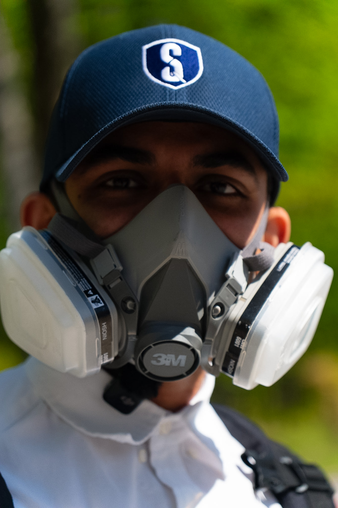 Sani IQ pest inspection