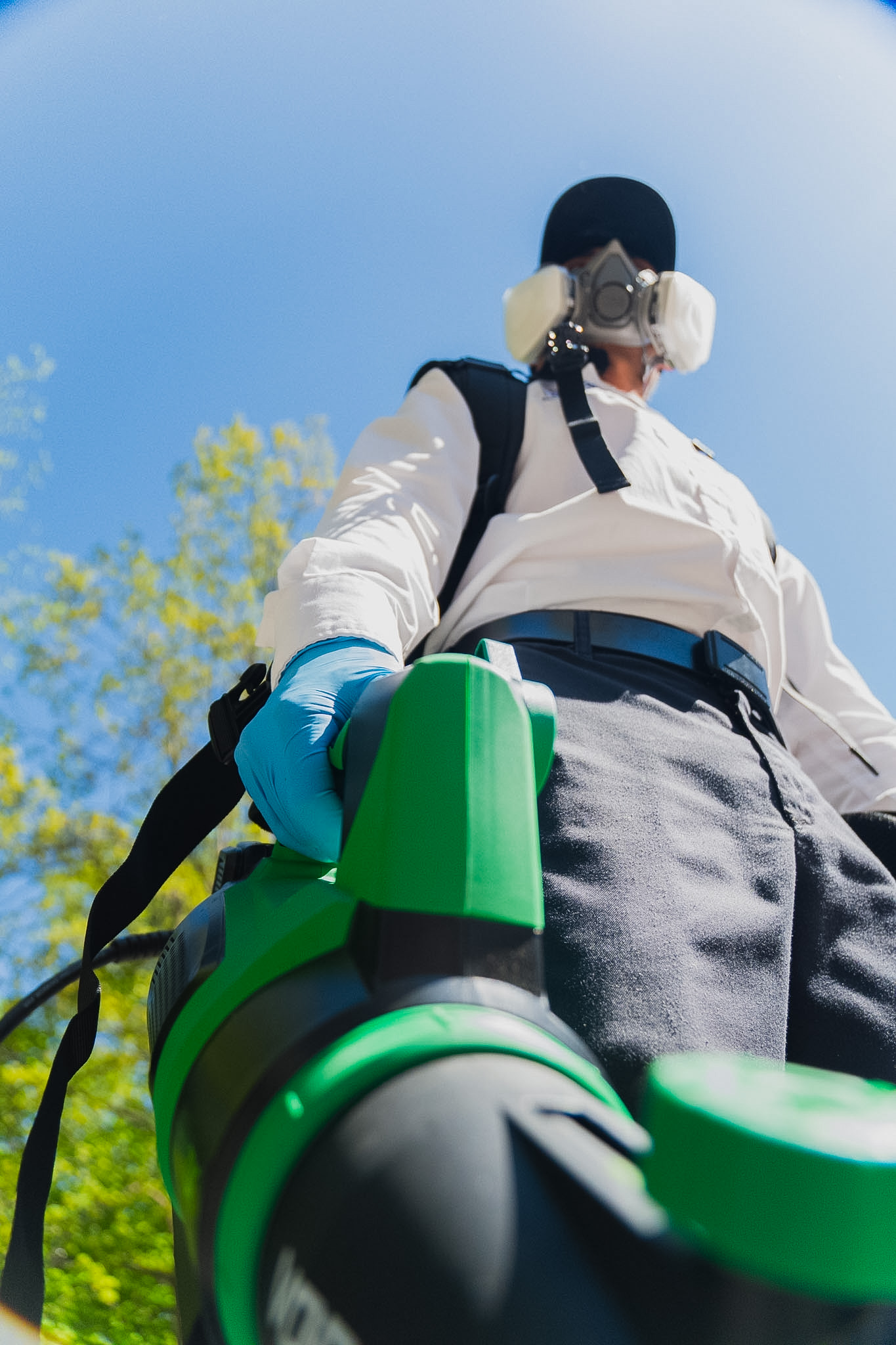 Sani IQ pest treatment